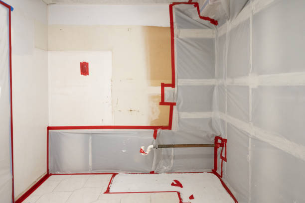Forensic Mold Investigation in Alexandria, MN