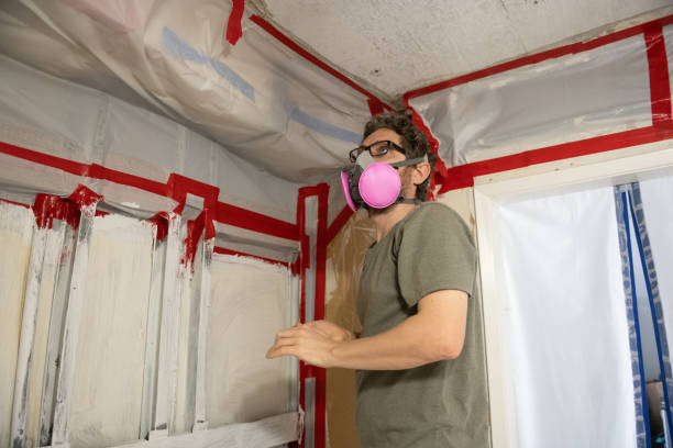 Best Mold Odor Removal Services  in Alexandria, MN