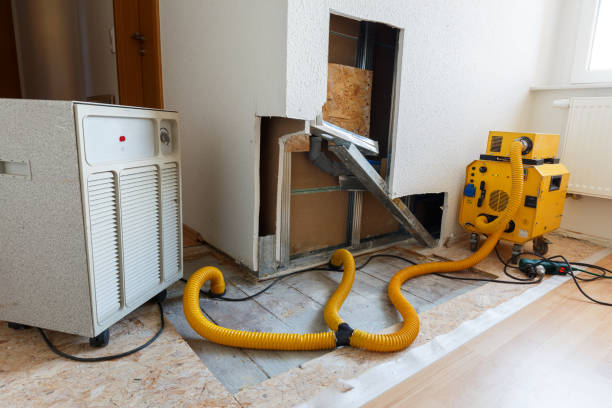 Best Crawl Space Mold Remediation  in Alexandria, MN